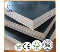 Poplar Core Film Faced Plywood for construction