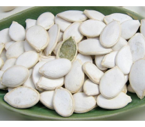 Snow White Specification Pumpkin Seed With Green Kernel