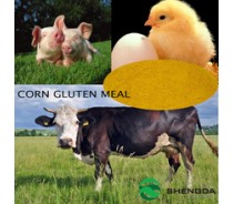 high quality yellow corn prices animal feeding