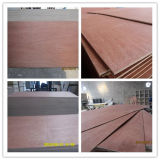 Factory-Directly Sales Commercial Plywood/Bintangor /Okoume/Pine/Birch Plywood