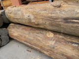 Teak Log
