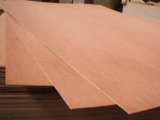 Door Plywood (ANPONWOOD-006)
