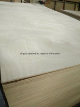 Commercial Plywood