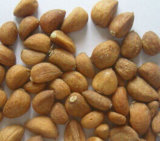 Toasted Garlic Cloves