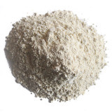 Dehydrated Garlic Powder (DL15)