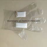 Disposable Plastic PE Folded HDPE LDPE Medical Pair Glove