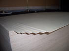 Full Poplar Plywood