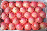 Red Star Apples