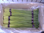 Garlic Stems