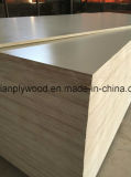 Phenolic Glue Poplar Core for Marine Plywood