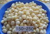 2011 Garlic Cloves in Brine (OYSP-001)
