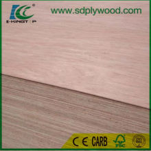Door Size Plywood/Door Skin Plywood Used in Door
