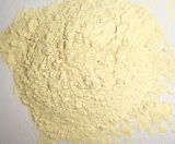 High Quality Dehydrated Garlic Powder