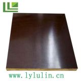 Film Faced Plywood (1)