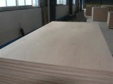 Full Okoume Plywood (GLARY-005)