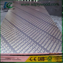 OEM Logo for Brown/Black Film Faced Plywood 1220X2440X18mm