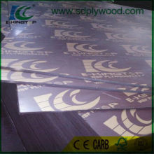 Poplar /Hardwood/Combi /Birch Core Shuttering Plywood/Marine Plywood for Construction