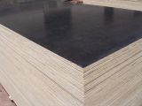 18mm Black Film Faced Plywood