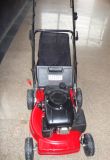 Lawn Mower (CLX1-LCCJ-3.6A)