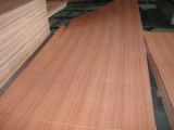 Sapeli Veneer Plywood (SJG-032801)