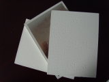 PVC Gypsum Board (NS-PG)