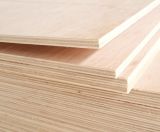 Construction/Decoration Plywood