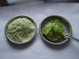 Wasabi Powder (WP201300301)