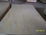 Pine Plywood, Commercial Plywood (P-02)