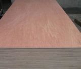 18mm BB/CC Grade Bintangor Plywood for Furniture Die Cut Plywood for Distributor