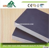 Best Quality Commercial Plywood at Wholesale Price