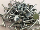 Galvanized Cheap Clout Nails with Big Head 1" (Size: 1/2"-2")