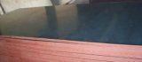 Film Faced Plywood for Construction