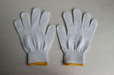 Cotton Glove (HA-8)