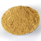 2012 New Crop Ginger Powder