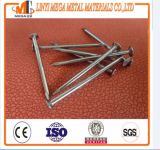 China Nails Factory Common Nail for Construction Top Quality Bright Polished Common Nails