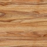 300X300mm Floor Tile for Bathroom