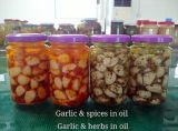 Garlic Cloves with Spice/Herbs in Oil