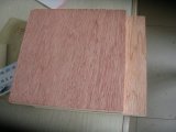 Bintangor Plywood
