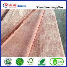 Film Plywood/Veneer for Sale