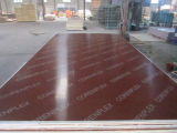 Brown Film Faced Plywood, Film Faced Plywood (F-02)