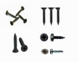 Dry Wall Screws
