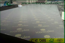 Film Faced Plywood/Marine Plywood OEM Logo as Building Materials