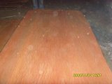 Okoume Veneer