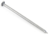 Common Nail -6