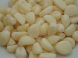 Salted Garlic Cloves