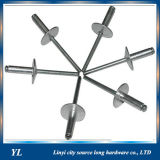 Aluminum Blind Rivet/ Stainless Steel Blind Rivet Factory