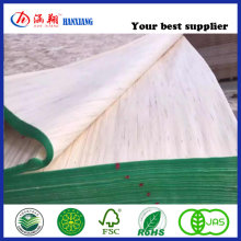 Construction Plywood/Shuttering Plywood/Poplar Plywood Film for Sale