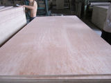 Bintangor Plywood, Commercial Plywood ,Hardwood Plywood (P-05)