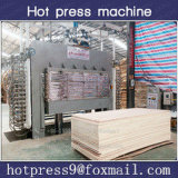 Hot Press for Plywood