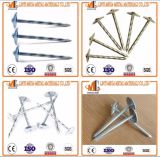 China Wholesales Umbrella Head Roofing Nails with Washer
